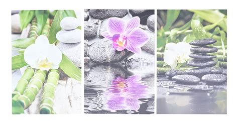 3er Set Wandbild Je 20x30cm Aluminium Dibond Orchideen Wellness Deko