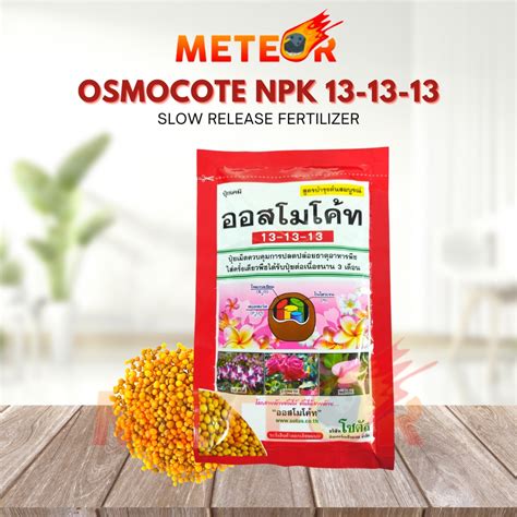 Thailand Slow Release Sotus Osmocote Npk G Fertilize Every