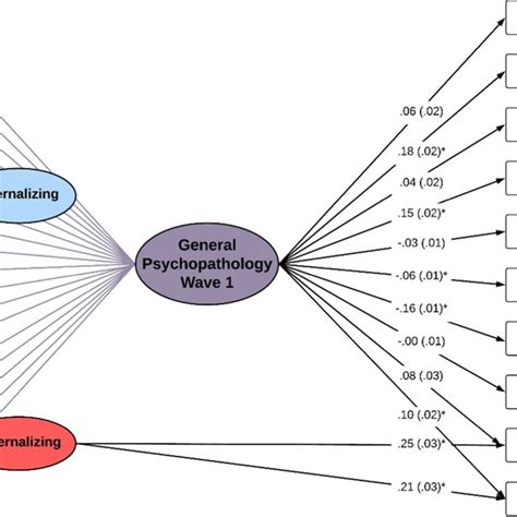 Bifactor Model With One Internalizing And One Externalizing Factors