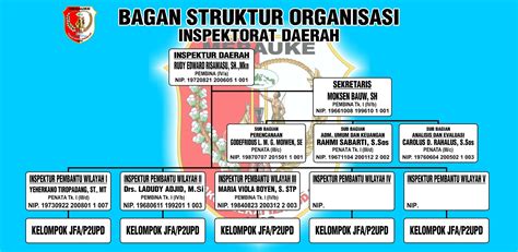 Struktur Organisasi Inspektorat Kabupaten Merauke