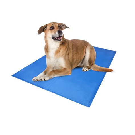 Tapis Rafra Chissant Pour Chien Durable Tapis De Refroidissement En Gel