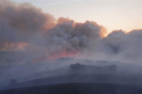 Incendies Dans Le Morbihan 75 Hectares Ont Brûlé Feux Fixés Dimanche