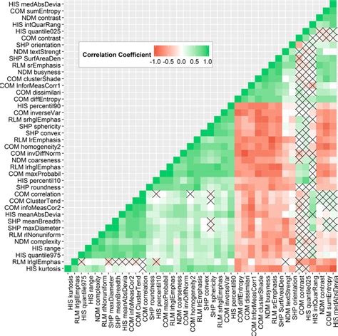 Spearman Correlation Coefficient Heat Map Including 40 Non Redundant