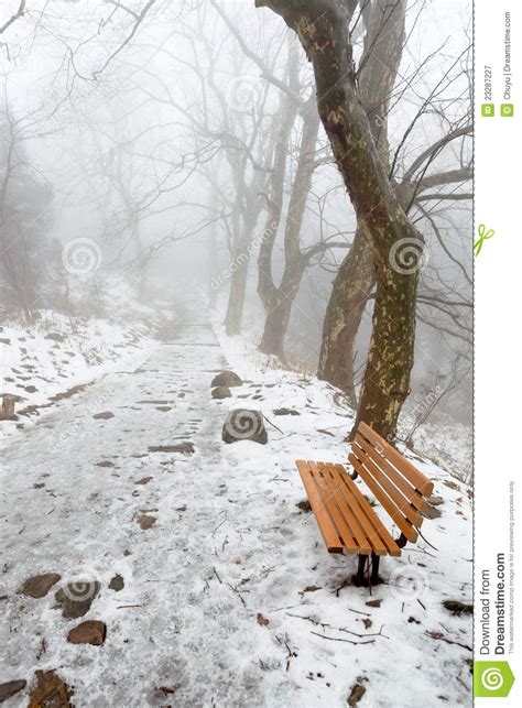 Winter mountain trail stock image. Image of road, haze - 23287227