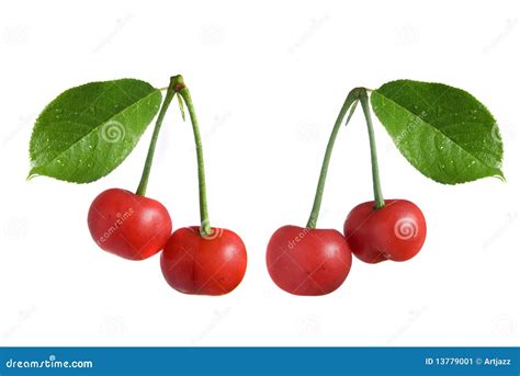 Red Cherry With Leaves Stock Image Image 13779001