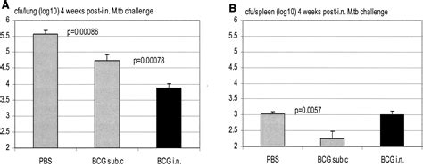 Single Intranasal Mucosal Mycobacterium Bovis Bcg Vaccination Confers