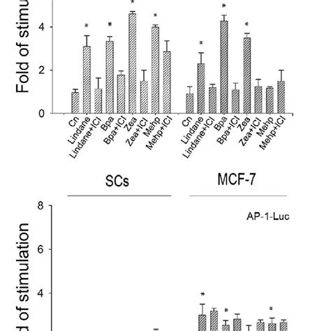 Ere Luc And Ap 1 Luc Activity In Testis Somatic Cells Scs Fraction