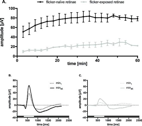 Electroretinographic ERG Responses Of The Isolated And Superfused