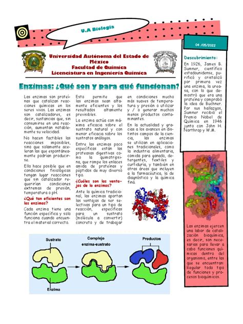 Infografía Enzimas Grupo 25 Iq Pdf Enzima Catálisis