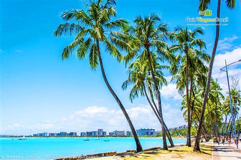 Fotos da Praia de Ponta Verde em Maceió Veja as imagens