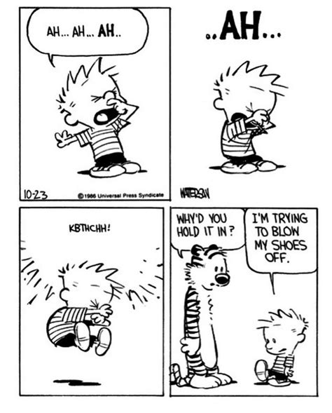 Calvin And Hobbes On Twitter Calvin And Hobbes Comics Calvin And