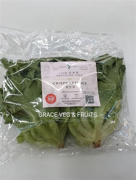 Crispy Lettuce Grace Veg