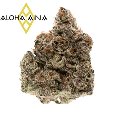 Guava - Aloha Aina | Weed Strain Information — 2one2 Dispensary