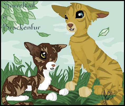 Sorreltail and Brackenfur by Shadowgaze on DeviantArt