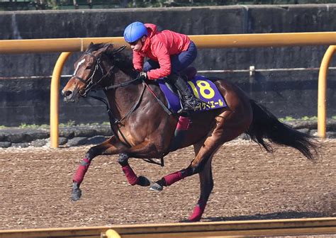 【高松宮記念1週前追い】メイケイエール ついに完成の域、池添「スケールアップしている」 スポニチ競馬web