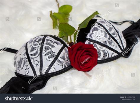 Sexy Black White Lingerie Red Rose Stock Photo Shutterstock