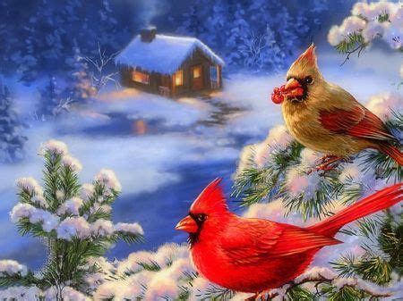 Beautiful Cardinals in Winter Wonderland