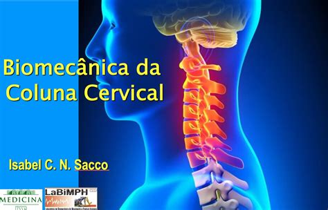 E Aulas Da Usp Biomec Nica Da Coluna Cervical