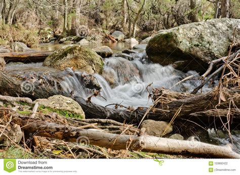 Ramas Quebradas Y Una Cascada En El La Pedriza Foto De Archivo Imagen