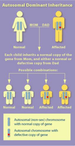 Genes and Genetics - neurofibromatosis