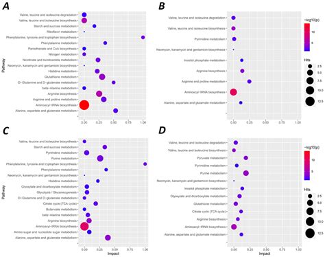 Metabolites Free Full Text Metabolomic Analysis Of Carbohydrate And