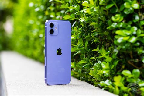 Here Is The Purple Iphone 12 Which Is Purple The Verge