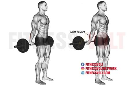 Standing Wrist Curl