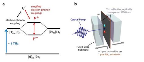 Electron Phonon Coupling In An Image Eurekalert Science News Releases