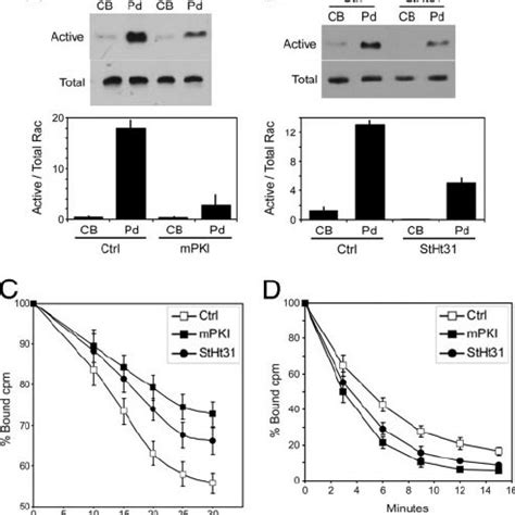 Localized regulation of PTP-PEST by PKA. ( A and B ) PTP-PEST was ... 