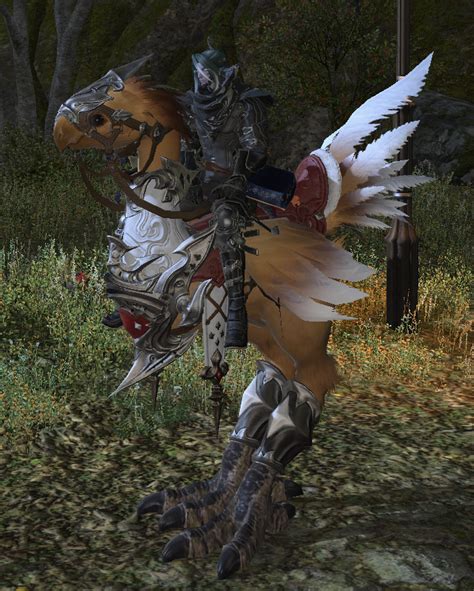 Ff14 Amber Draught Chocobo