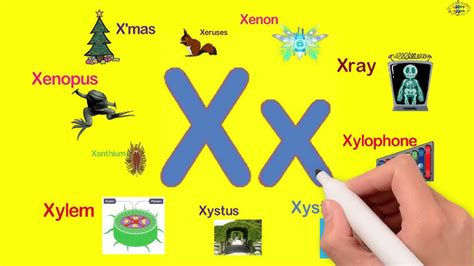 X Words For Kids