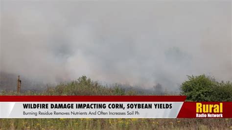 Krvn Krvn Kami Wildfire Damage From Impacting Corn