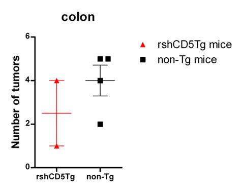 29 Number Of Colon Tumors In Mice Treated With AOM DSS RshCD5Tg N 2