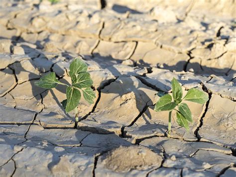 La Comunitat Valenciana sufre el inicio de año más seco de los últimos