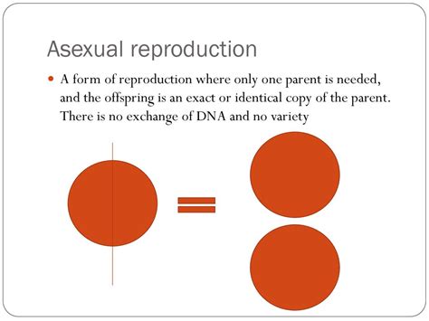 Genetics And Reproduction Vocabulary Ppt Download