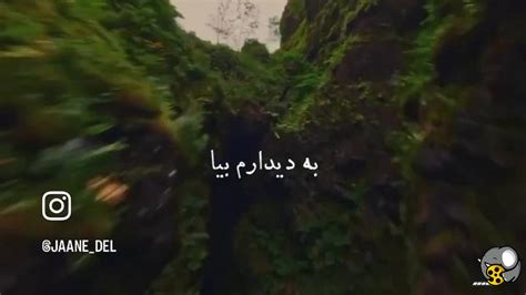 با دیدن این ویدیو حس میکنی واقعا دنیا دیگه ای هستی😍 فیلو