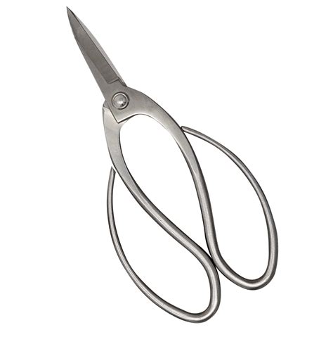 Hanzo Stainless Steel Root Pruning Bonsai Scissors Buy Bonsai