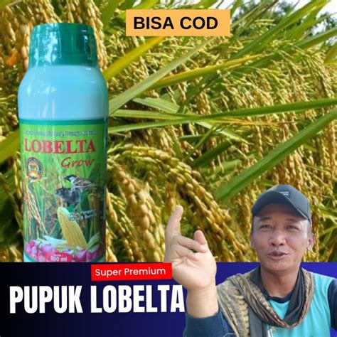 Jual BISA COD Pupuk Lobelta Pupuk Akar Batang Bunga Dan Buah