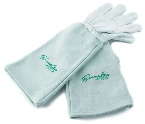 Rose Pruning Gloves Exemplary Gardens