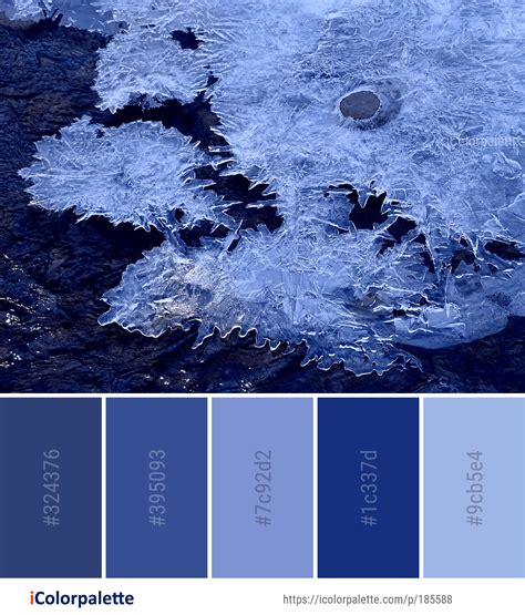 Winter Color Palette With Hex Codes Appreciate Blook Image Database