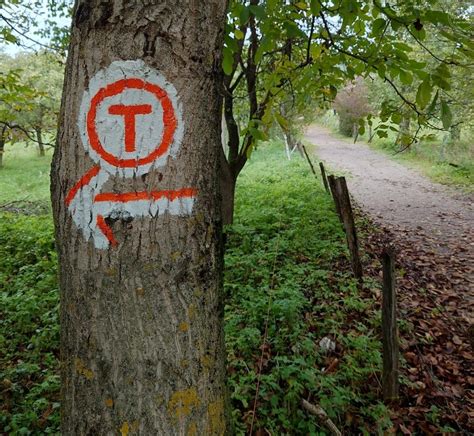 Pa I Pe Meleaguri Istorice Hunedorene Partea Fam La Pas Turistic