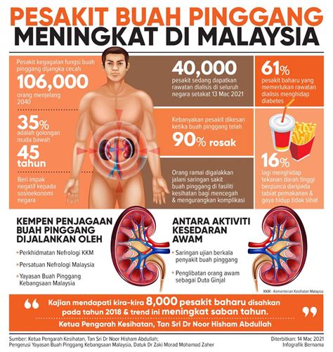 Masalah Buah Pinggang Kronik DOKTOR SAKIT KRONIK