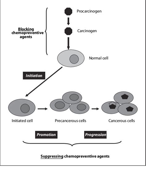 Figure 1 From Chemoprevention Of Pancreatic Cancer A Review Of The