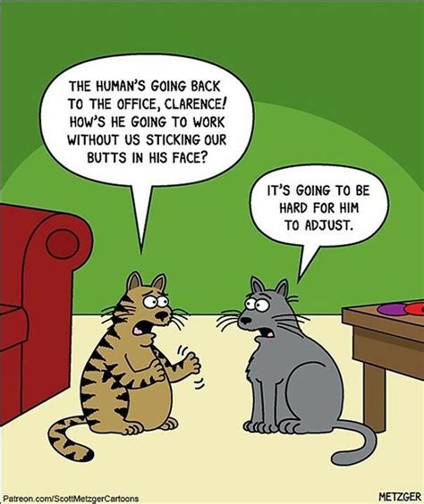 30 Funny Cat Comics By Scott Metzger That Might Make Every Cat Owner