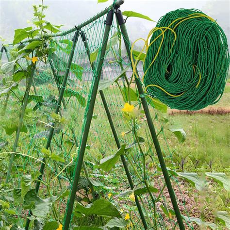 Garden Nylon Netting Trellis Net Vegetables Bean Plants Climbing Grow ...