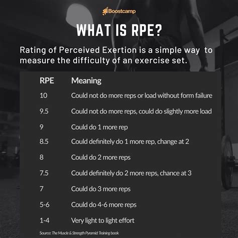 The Ultimate Guide To Rpe In Lifting