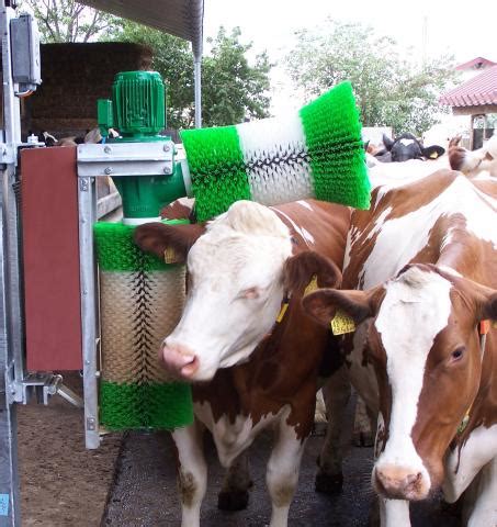 BROSSE Pour Vaches Agriest Elevage