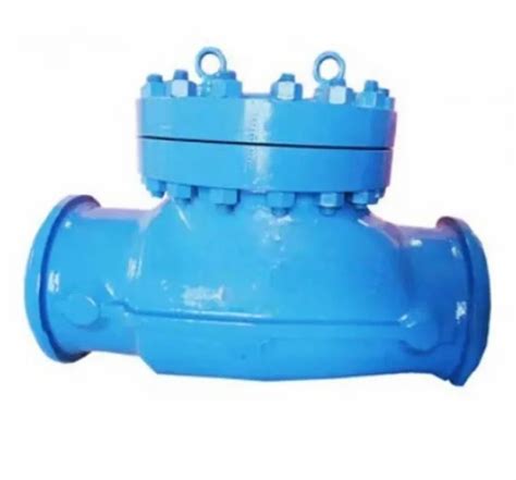 Swing Type Non Return Valves At Rs Piece Ss Non Return Valve In