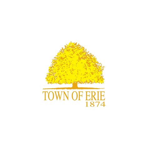 Shipping and Packing Services at UPS in Erie, Colorado 3