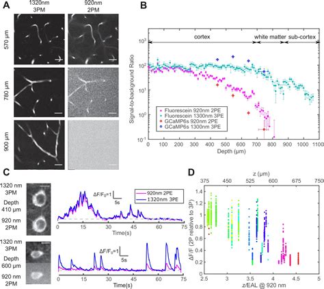 Figures And Data In Quantitative Analysis Of Nm Three Photon